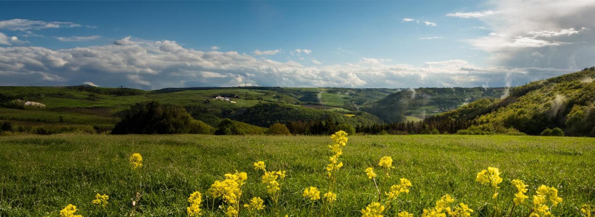 Fuussekaul * Heiderscheid
